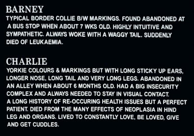 Inscription on the reverse of Karl Bartoni's dogs headstone at the Rossendale Pet Cemetery in Lancashire